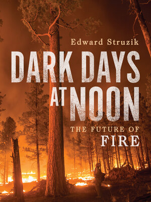 cover image of Dark Days at Noon